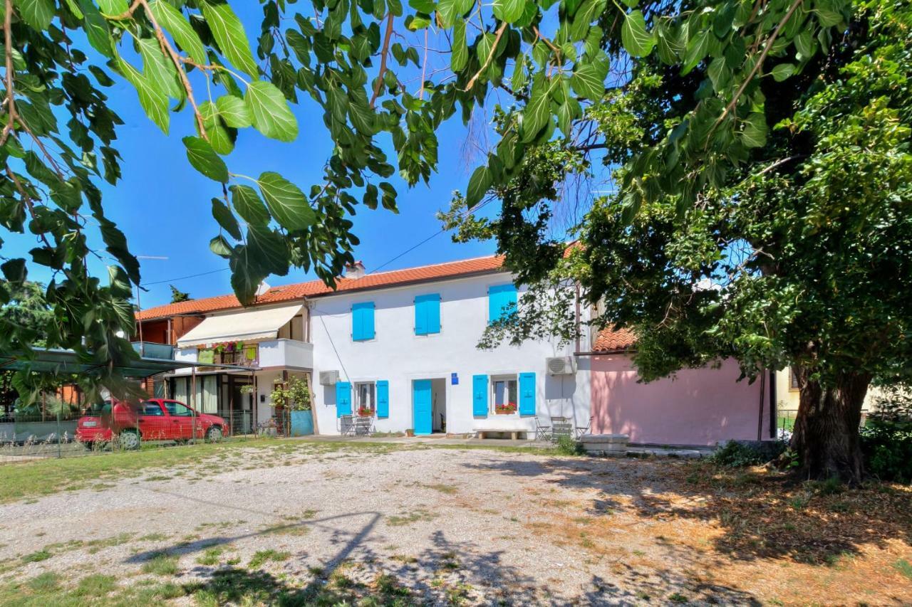 Apartment Anna Umag